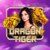 Dragon Tiger - Jili7 Game